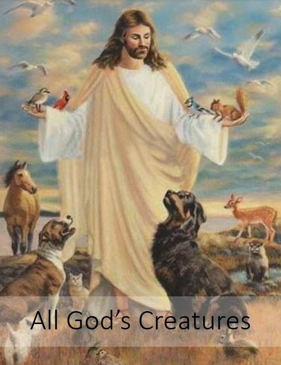 All God's Creatures - Pleasant Grove United Methodist Church